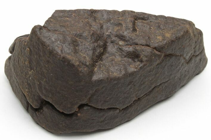 Chondrite Meteorite ( g) - Western Sahara Desert #226974